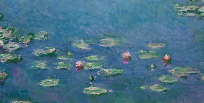 Water Lilies — bottom detail