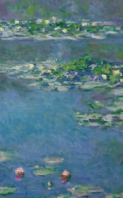 Water Lilies — right detail