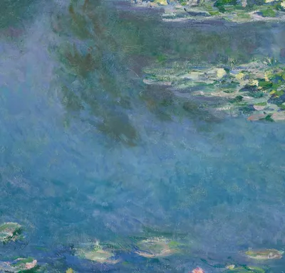 Water Lilies — center crop