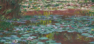 Water Lily Pond — bottom detail