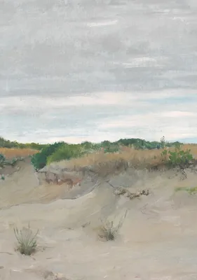 Wind-Swept Sands — left detail