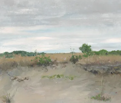 Wind-Swept Sands — center crop