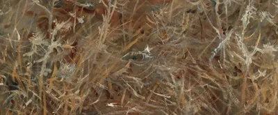 Thistles — bottom detail