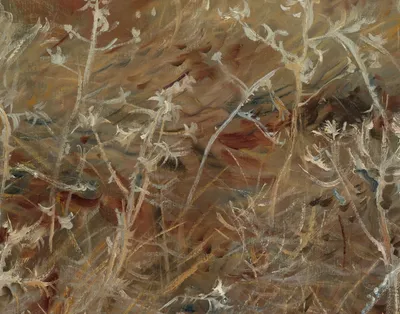Thistles — center crop